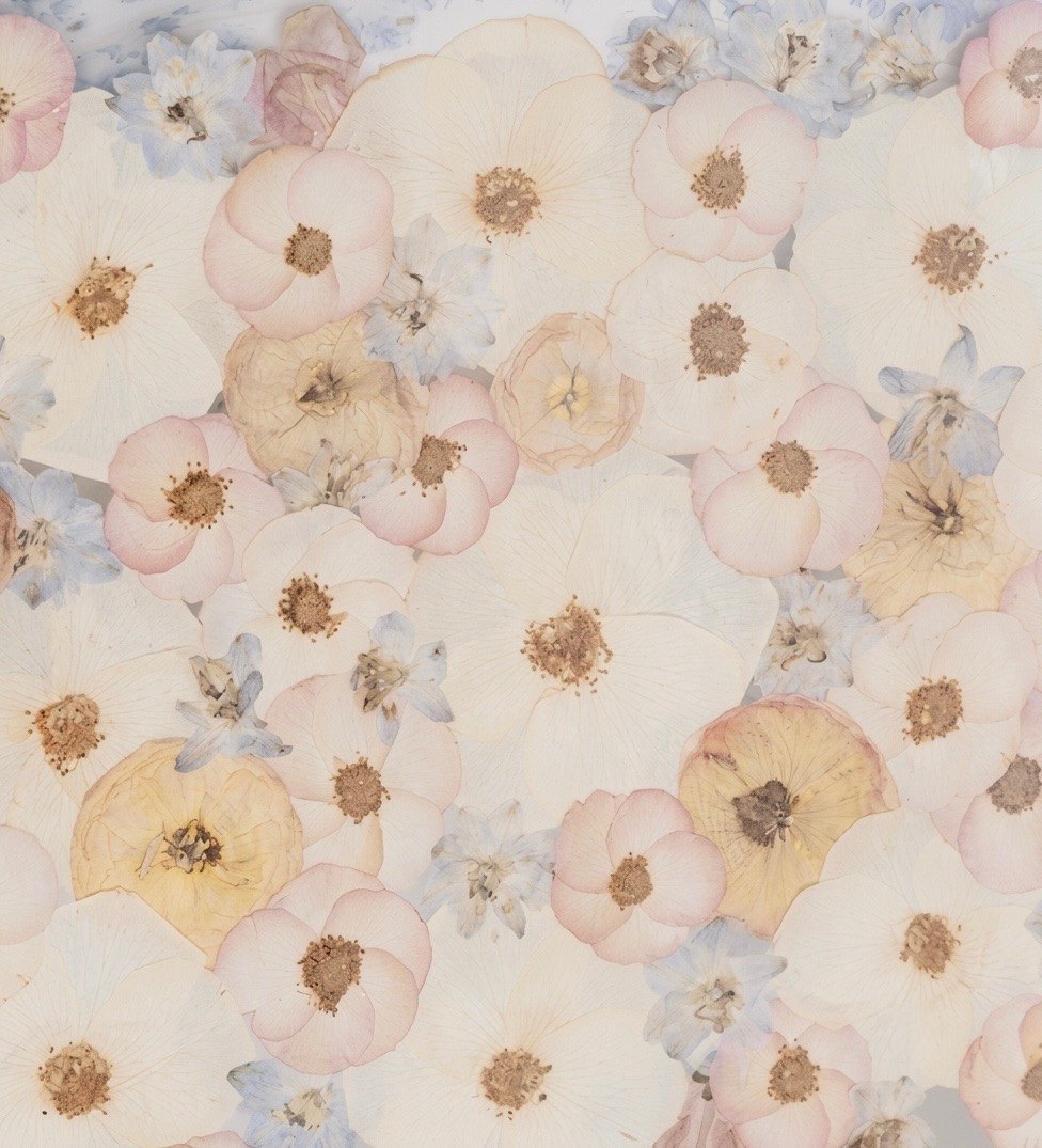 A close-up of handmade pressed flowers