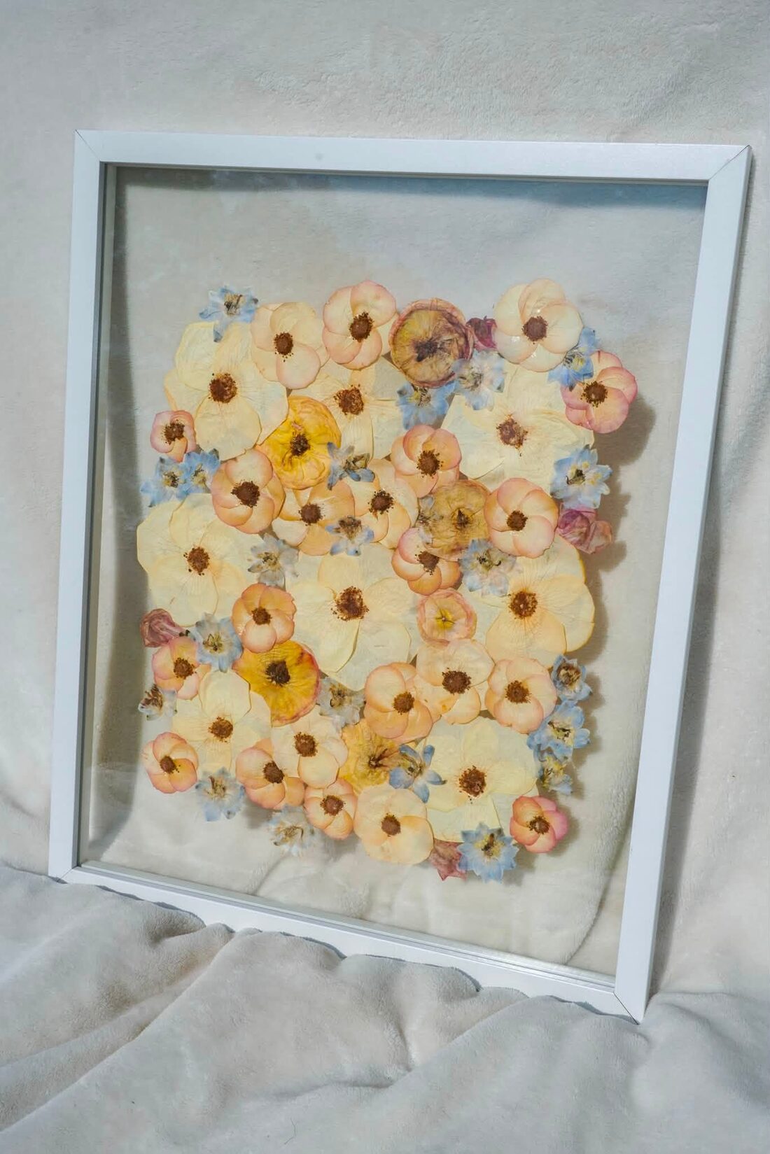 The same bouquet, pressed and framed